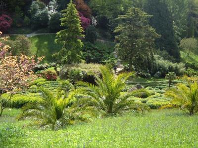 Glendurgan11.jpg