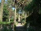 Neptune steps