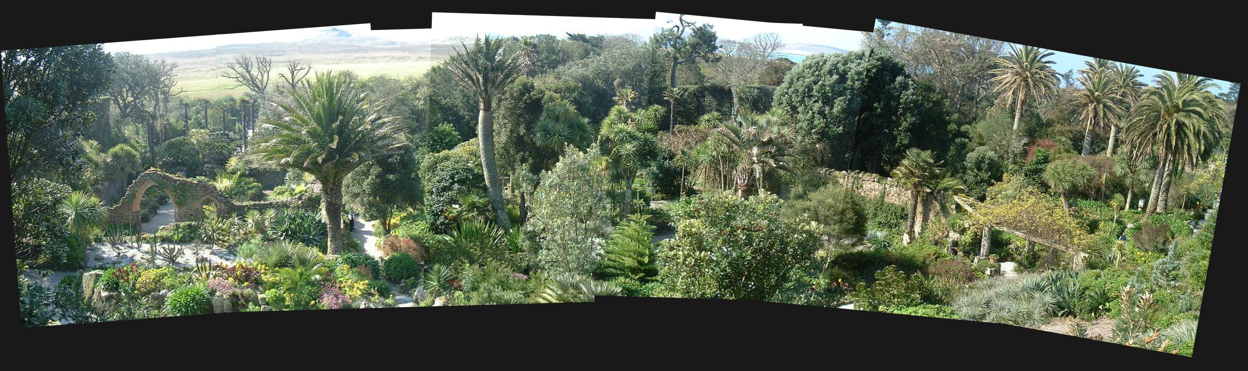 Panorama picture