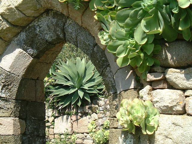 Arch of the old ruins