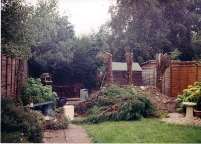 The Lost Garden of Kidderminster (UK)