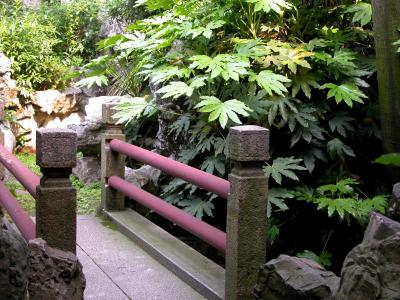 DSCN0103.jpg