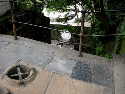DSCN0109.JPG