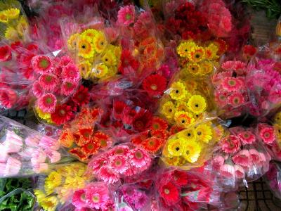 DSCN0019.JPG