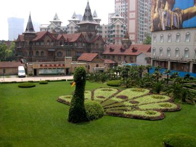 DSCN0080.JPG