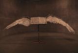 Book with Wings - Anselm Kiefer