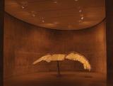 Book with Wings - Anselm Kiefer