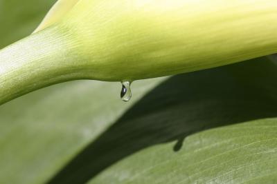 IMG_7457-crop.jpg