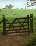 The gate to Hill Farm