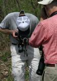 Stan watching as Bill photographs his lintneri