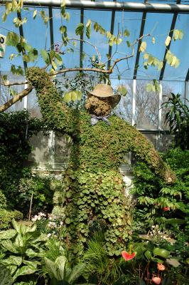 topiary