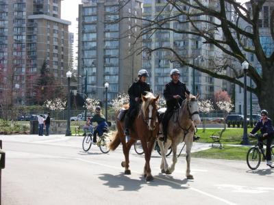 Mounted Police.JPG