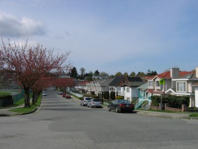 My Home Avenue.JPG