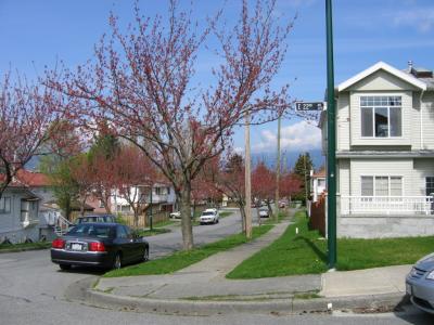 My Home Avenue 2.JPG