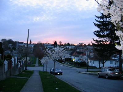 My home road.JPG