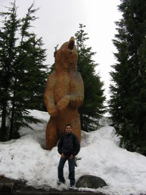 Max  the Bear.JPG