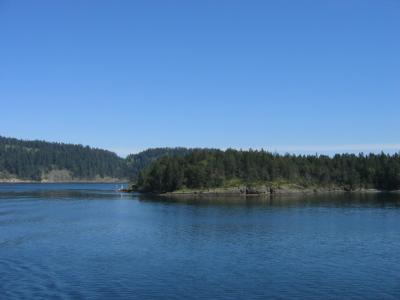 Vancouver Island Landscape 3.JPG