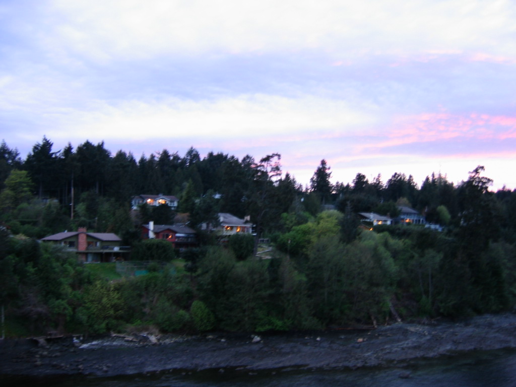 Houses in the Dusk.JPG