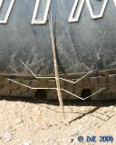 Walking Stick