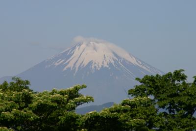 Mt. Fuji, May 11, 2004