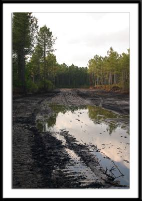 land_8978.jpg