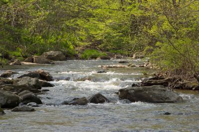 Upstream