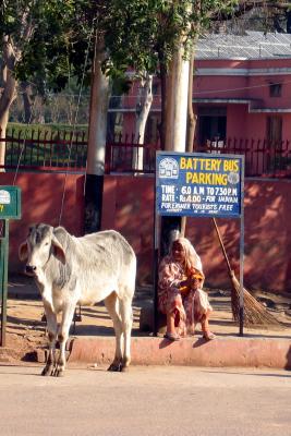 Sights in Agra