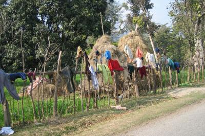 Clothes drying along the road