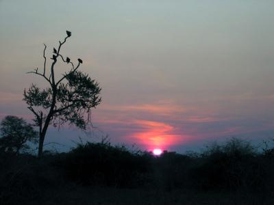 Sunset near the vultures