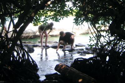 Studying the tide pools, Tulum