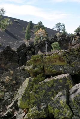 Lichen, rocks, and lava
