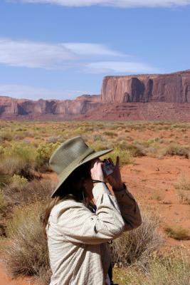 Taking photos