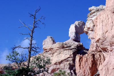 HIking Queen's Garden at Bryce Canyon