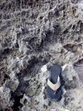 Rocks with shoe