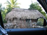 Thatch!