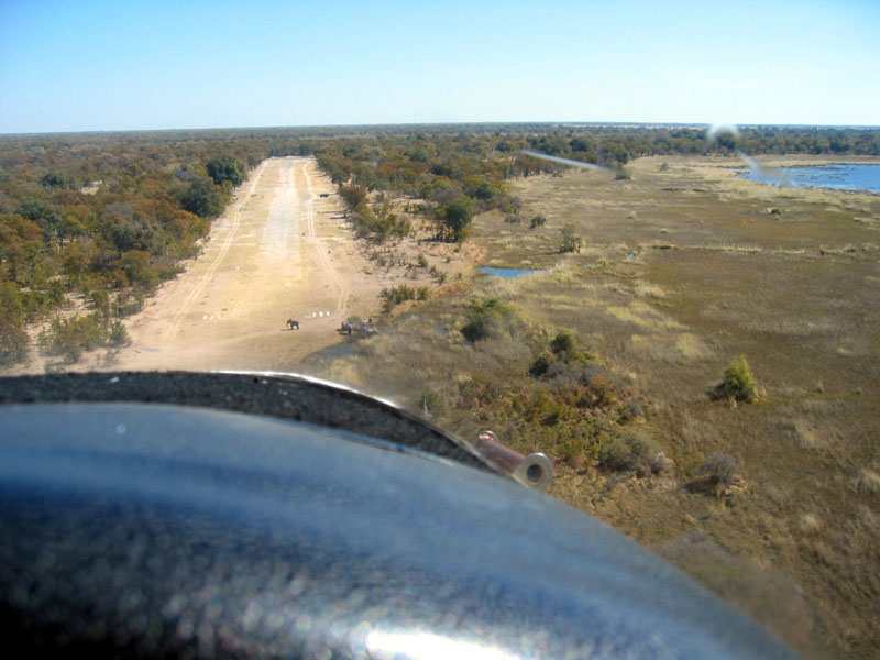 Coming in, over the elephants