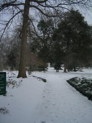 Snow in CH