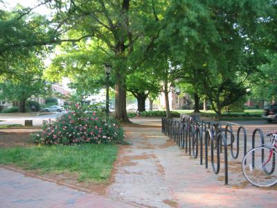 Cameron Ave