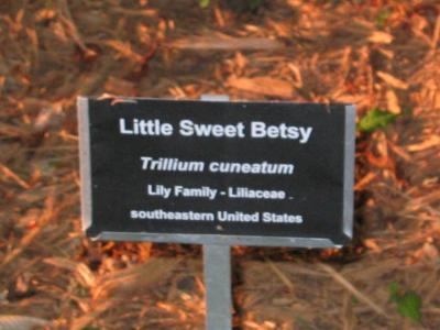 Aboretum