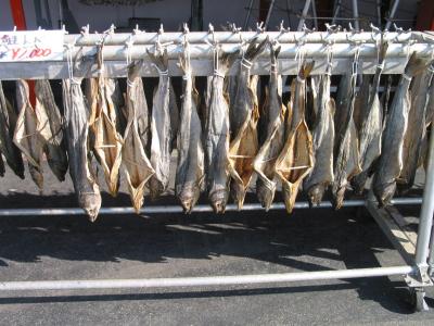 Drying Salmon