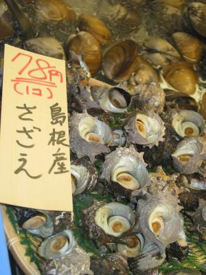 Abalone in the market