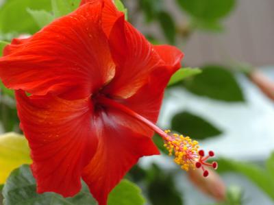 DSC_2386c.JPG