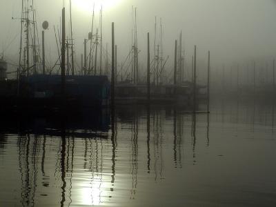 South Harbor, Petersburg