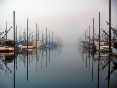 South Harbor, Petersburg