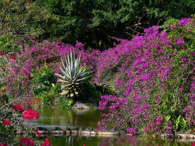 Nani Mau Gardens