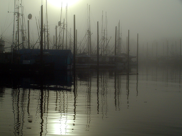 South Harbor, Petersburg