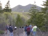 Karl Holtes Spring Flora Class - Tour of Buckskin Area DSCN1614.jpg