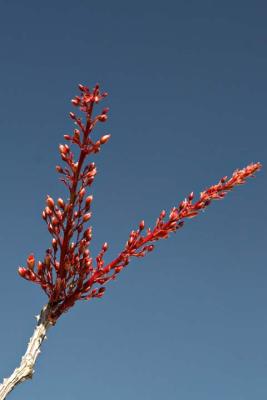 IMG_3021.jpg