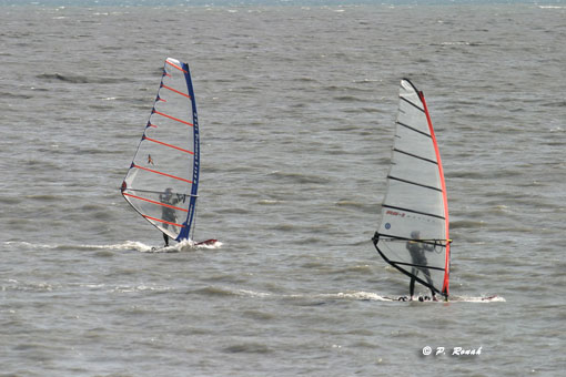 windsurfers