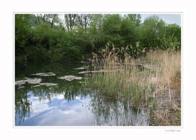 Biotop in Bilten